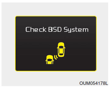 Blind spot detection-systeem (BSD)