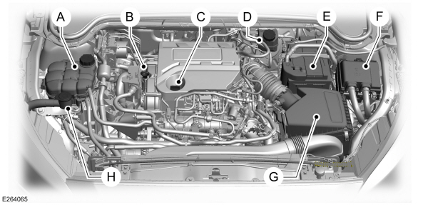 Overzicht motorruimte - 1.0L EcoBoost, links stuur 