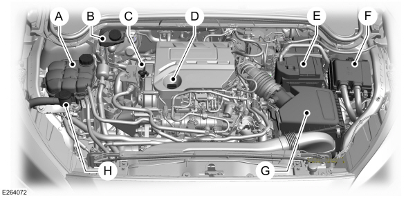 Overzicht motorruimte - 1.0L EcoBoost, rechts stuur 