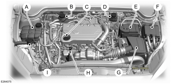 Overzicht motorruimte - 1.5L EcoBlue, links stuur 