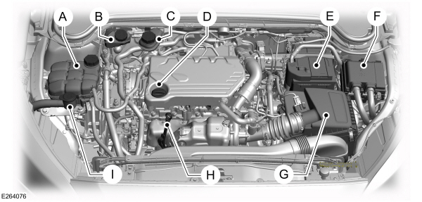 Overzicht motorruimte - 1.5L EcoBlue, rechts stuur 