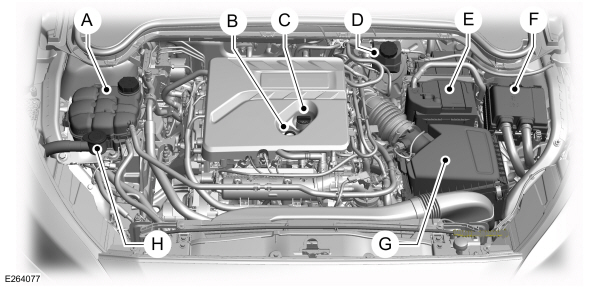 Overzicht motorruimte - 1.5L EcoBoost, links stuur 