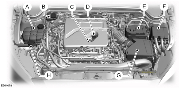 Overzicht motorruimte - 1.5L EcoBoost, rechts stuur 