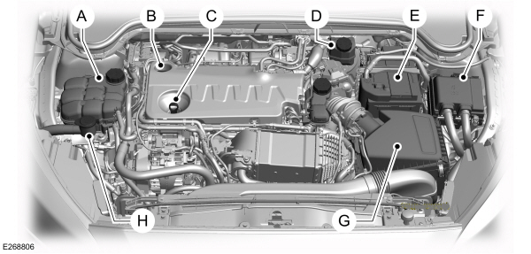 Overzicht motorruimte - 2.0L EcoBlue, links stuur 