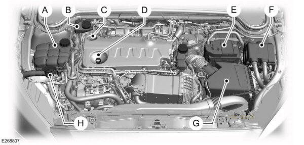 Overzicht motorruimte - 2.0L EcoBlue, rechts stuur 