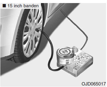 Lekke band (met TireMobilityKit)