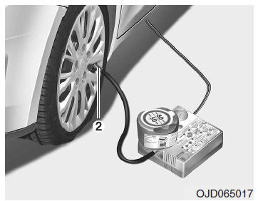 Lekke band (met TireMobilityKit)