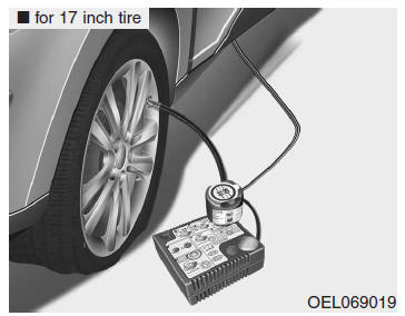 Lekke band (met TireMobilityKit)