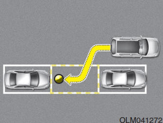 Smart Parking Assist-Systeem (SPAS)