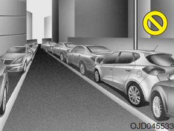 Smart Parking Assist-Systeem (SPAS)