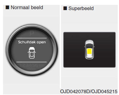 Instrumentenpaneel (Superbeeld)