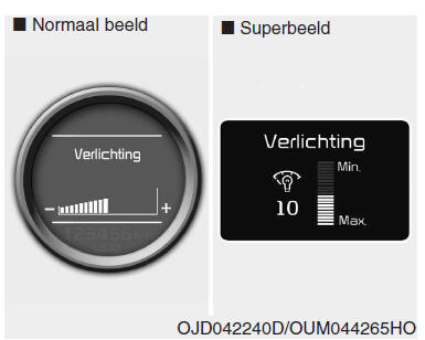 Instrumentenpaneel (Superbeeld)