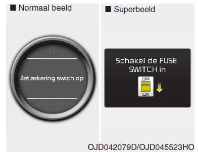 Instrumentenpaneel (Superbeeld)