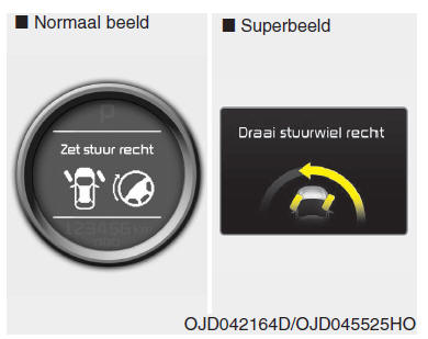 Instrumentenpaneel (Superbeeld)