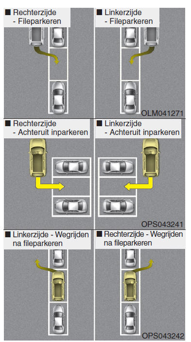 Smart Parking Assist-Systeem (SPAS)